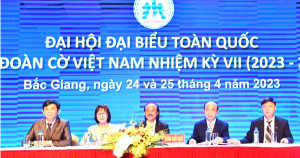 Chủ tịch Liên đoàn Cờ Việt Nam ra thông báo khẩn chấn chỉnh nội bộ
